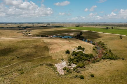 (BPV-BPV-10339)  Espectacular campo en venta residencia o desarrollo Garzon