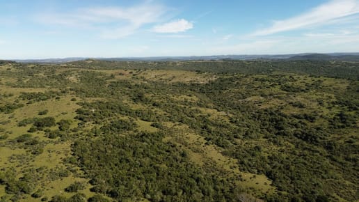 (BPV-BPV-10488)  Campo de 103 hectáreas en venta Maldonado Aigua con arroyo  Ruta 109