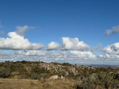 (BPV-BPV-10534)  Campo en venta en Maldonado