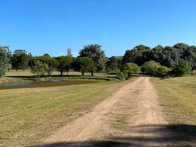 (BPV-BPV-10863)  Lote en venta en DON MIGUEL
