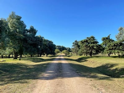 (BPV-BPV-10865)  Lote en venta en DON MIGUEL
