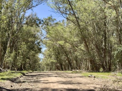 (BPV-BPV-11013)  Lote en venta en San Vicente