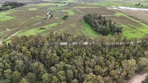 (BPV-BPV-11068)  Terreno en venta sobre Camino Eguzquiza, El Tesoro