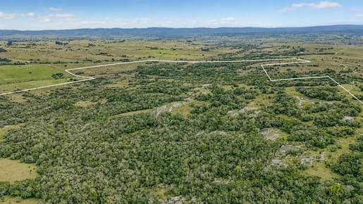 (BPV-BPV-11121)  Espectacular campo en venta 76 hectáreas a minutos de Garzón