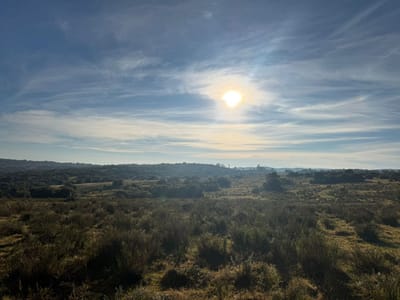 (BPV-BPV-11231)  Quinta en venta en AIGUA