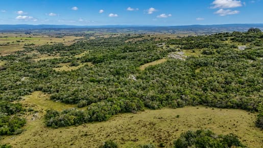 (BPV-BPV-11320)  Campo serrano en venta zona de Bodegas de Garzón