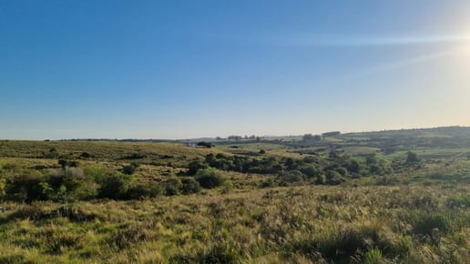 (BPV-BPV-11334)  Quinta en venta en Maldonado