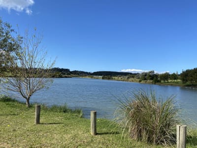 (BPV-BPV-11368)  Lote en venta en PUEBLO MIO