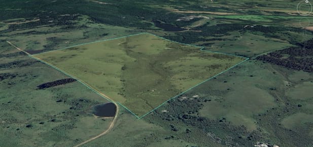 (BPV-BPV-11436)  Espectacular campo en venta de 34 hectareas a pasos del pueblo y bodegas Garzón