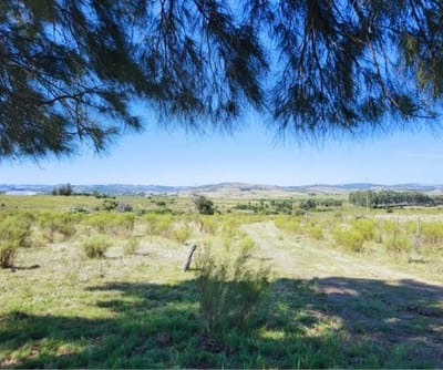 (BPV-BPV-11524)  Chacras en venta Pueblo Edén