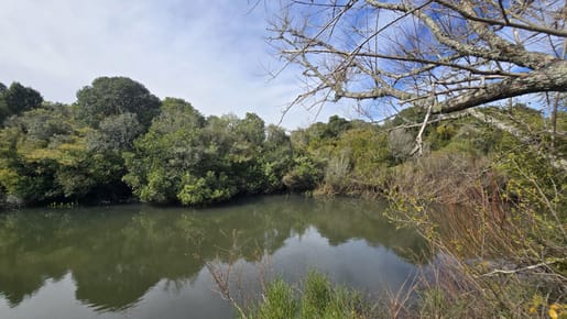 (BPV-BPV-11567)  Chacra en venta sobre arroyo Maldonado, vistas, monte nativo
