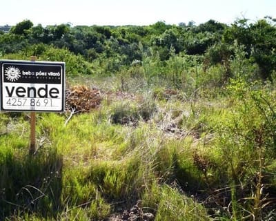 (BPV-BPV-1656)  Lote | ANTONIO AIME
