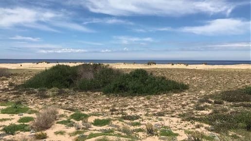 (BPV-BPV-1660)  Lote | RUTA 10