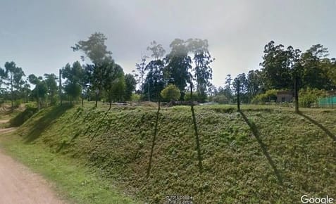 (BPV-BPV-2806)  Lote | LA HERRADURA