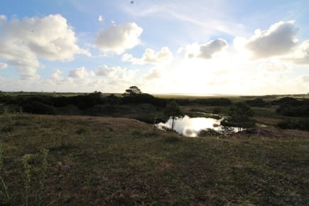 (BPV-BPV-4736)  Quinta en venta en JOSE IGNACIO