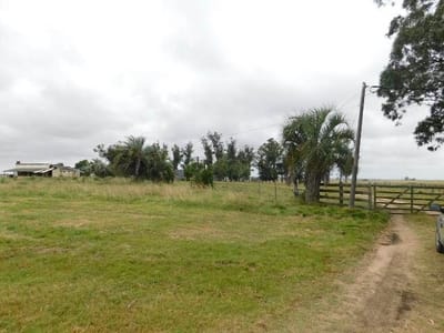 (BPV-BPV-5614)  Quinta en venta en MALDONADO