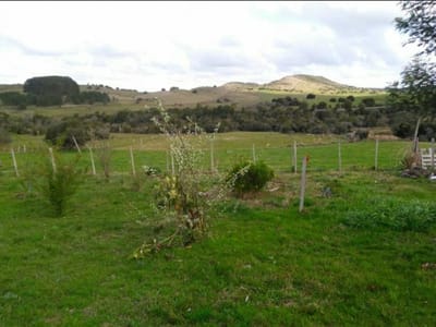 (BPV-BPV-5792)  Quinta en venta en LAVALLEJA