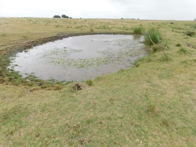 (BPV-BPV-6259)  Venta de campo en Maldonado - 35has coneat 134