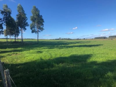 (BPV-BPV-6818)  Quinta en venta en GARZON
