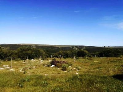 (BPV-BPV-6824)  Quinta en venta en LAVALLEJA