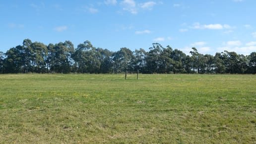 (BPV-BPV-7109)  Lote en venta en PUEBLO MIO