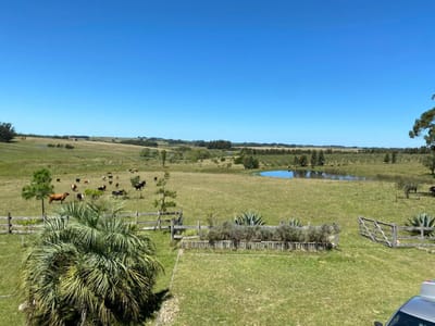 (BPV-BPV-7835)  Quinta en venta en JOSE IGNACIO
