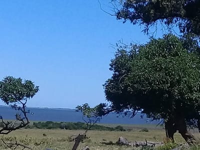 (BPV-BPV-7903)  Quinta en venta en JOSE IGNACIO