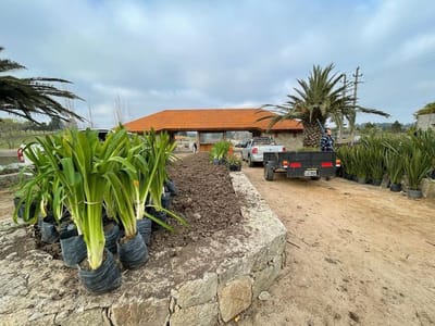 (BPV-BPV-8469)  Lote en venta en Manantiales