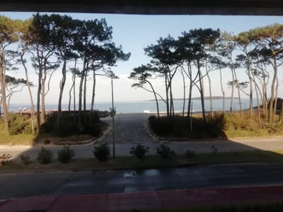 (BPV-BPV-8711)  Departamento en alquiler temporal de 4 ambientes en PLAYA MANSA