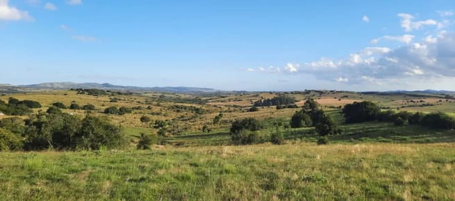 (BPV-BPV-8881)  Quinta en venta en MALDONADO