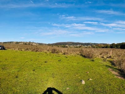 (BPV-BPV-9423)  Campo en venta en Lavalleja