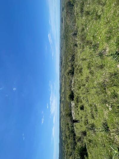 (BPV-BPV-9432)  Quinta en venta en GARZON