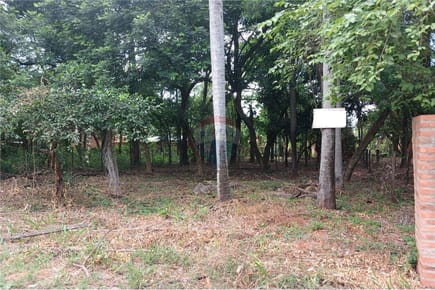 Vendo Hermoso Terreno en Mariano Roque Alonso