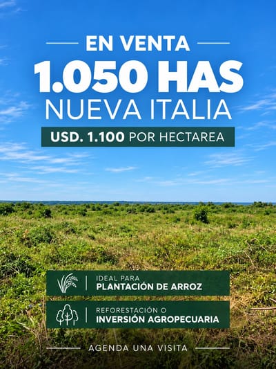 Campo En Venta Nueva Italia – Departamento Central