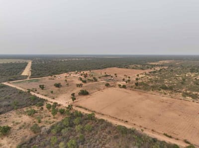 VENTA - Estancia 11.236 ha en el Chaco Norte - Mcal. Estigarribia, Boquerón