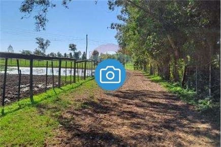 VENDO 184 Hectareas en Paraguari