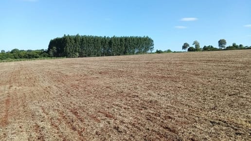 VENDO PROPIEDAD 8 HECTAREAS AGRICOLA MECANIZADA