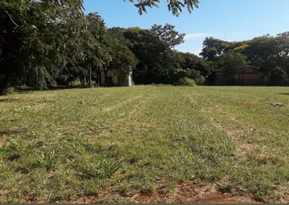VENDO 4 TERRENOS JUNTOS EN ÑEMBY 1458 m2