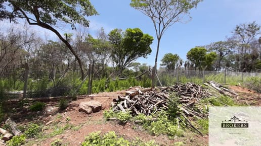 Vendo 3 Lotes Juntos o Separados De 1.300 m2 c/u Barrio Cristobal Colon Sanber