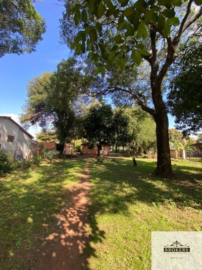 Vendo Amplio Terreno De 1461M2 En Luque 4to Barrio