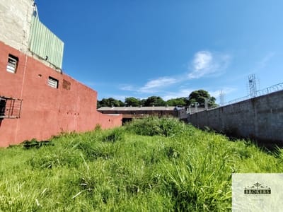 Vendo Terreno de 360m2 sobre Avda. Luis Ma. Argaña fernando zona sur