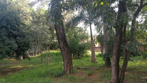 Vendo Tres Terrenos Sup. 1.260 m2 Bo. Kennedy, Lambaré
