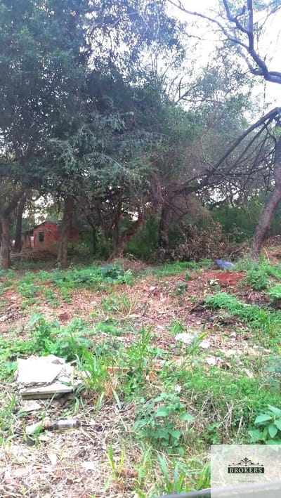Terreno en venta de 504 m2 ubicado en Loma Merlo