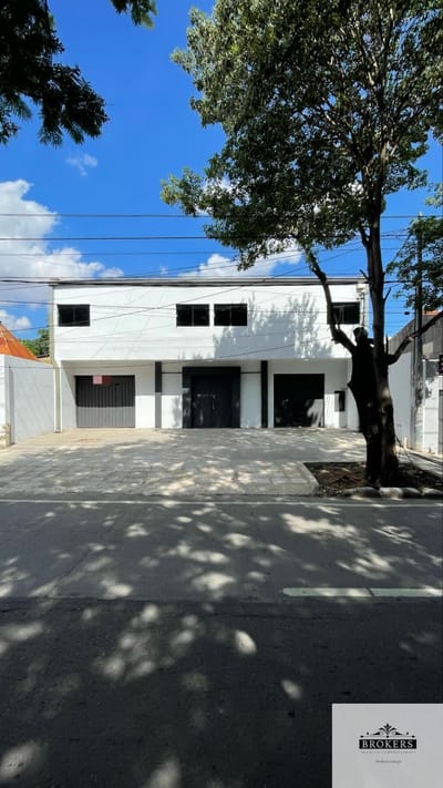Alquilo Salón Comercial Sobre Avenida Carlos Antonio López
