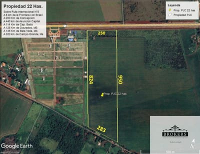 Vendo propiedad de 22 hectareas  sobre ruta 250 m de frente en PJC Amambay