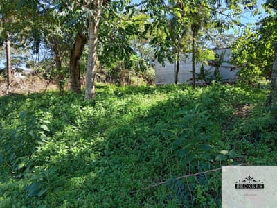 Vendo Hermoso Terreno De 374 m2 En La Ciudad De Ñemby Zona Pulp