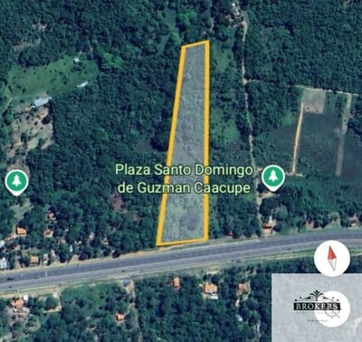 Vendo Propiedad de 2 Hectáreas en Caacupé