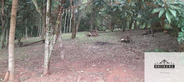 Oportunidad Vendo Terreno 1600 m2 sobre ruta en el centro de Villa Ygatymi