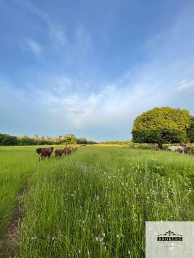 Campo en venta de 40.000 m2 ubicado en ACUÑA, Altos