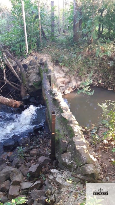Campo con arroyo  en venta de 10 hsa ubicado en Nueva Colombia